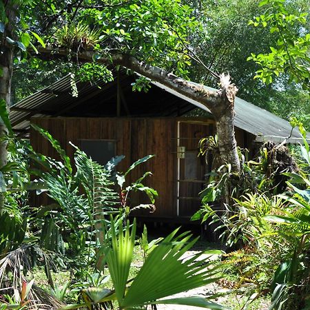 Hakuna Matata Amazon Lodge Archidona Bagian luar foto