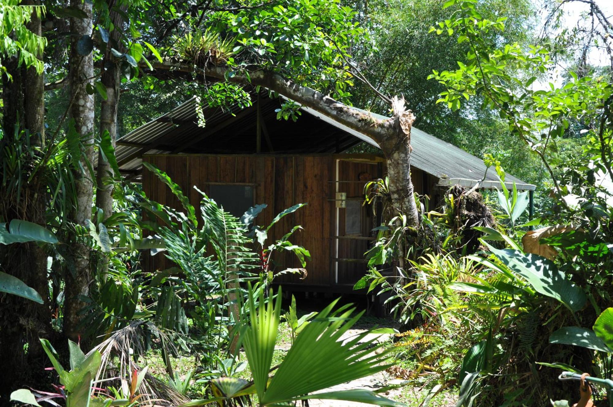 Hakuna Matata Amazon Lodge Archidona Bagian luar foto