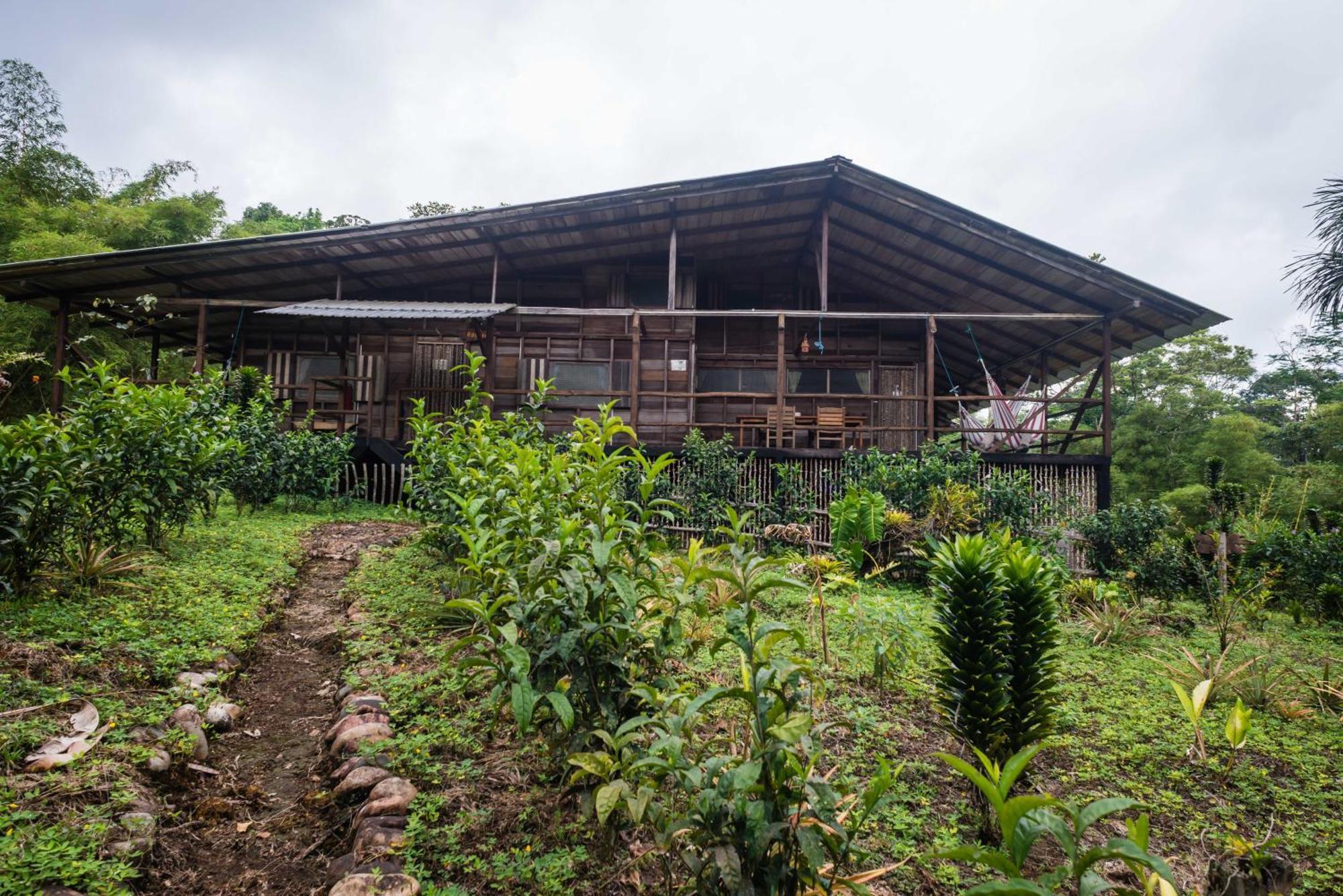 Hakuna Matata Amazon Lodge Archidona Ruang foto