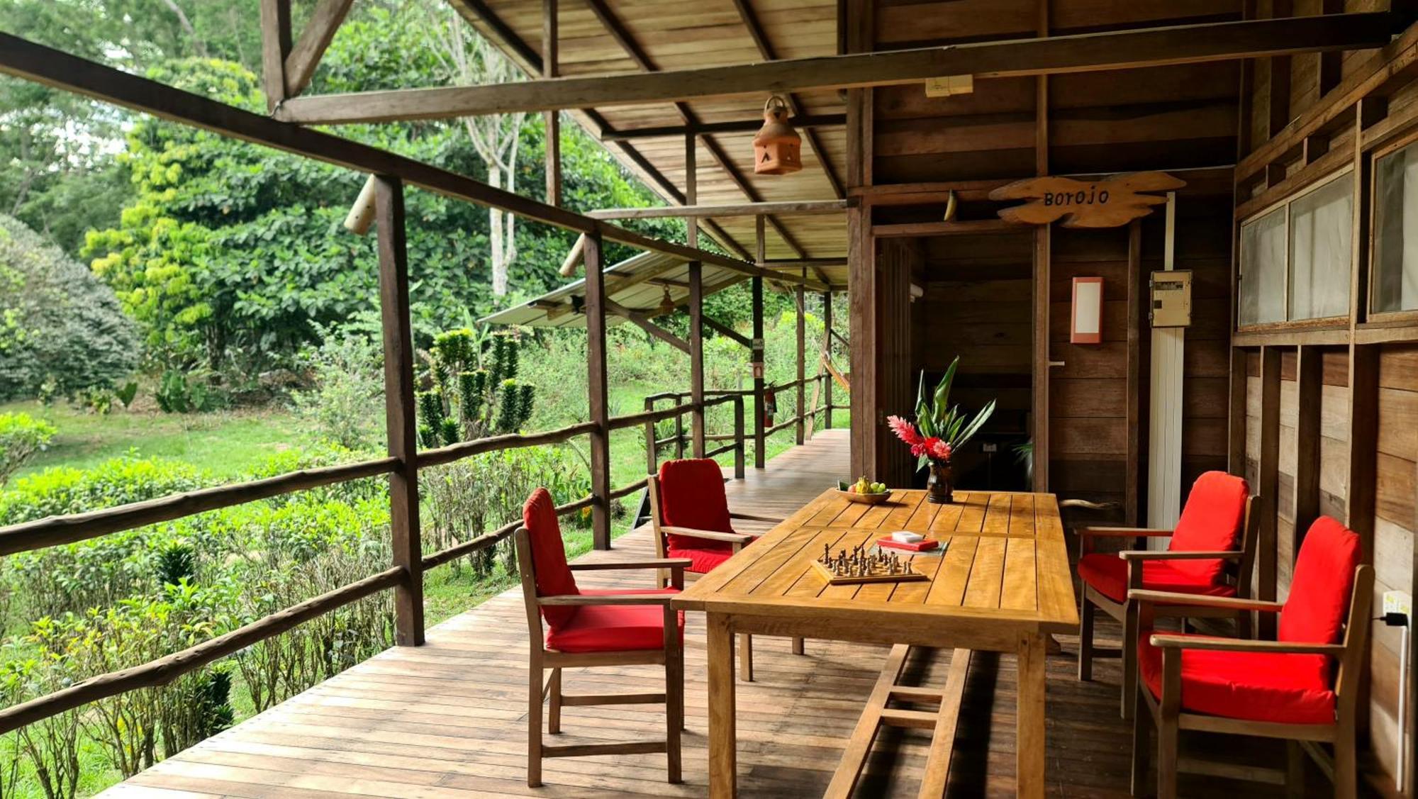 Hakuna Matata Amazon Lodge Archidona Bagian luar foto