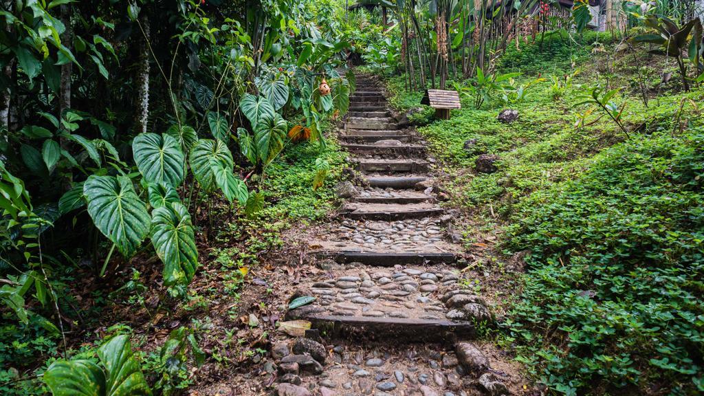 Hakuna Matata Amazon Lodge Archidona Bagian luar foto
