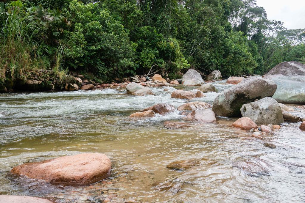 Hakuna Matata Amazon Lodge Archidona Bagian luar foto